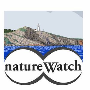 Santander acoge el encuentro Nacional de Ecoturismo 2025 Encuentro en Santander Natrure Watch