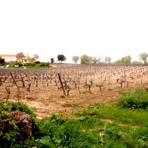 Monasterio cisterciense de Valbuena de Duero