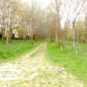 Ruta Senda del Duero San Bernardo