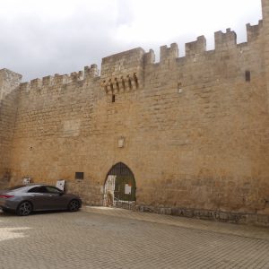 Fachada Palacio de los Zúñiga en Curiel de Duero