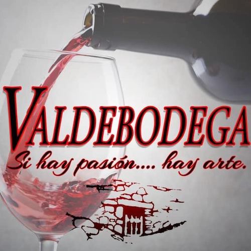 Visita bodega en Valbuena de Duero