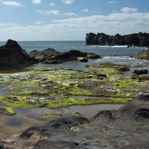 Historia de la pesca en Lanzarote: tradición, evolución y presente Playa en Lanzarote