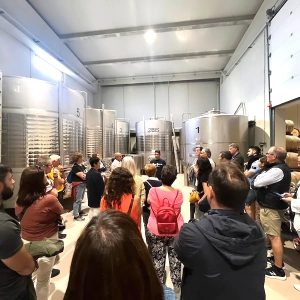 Visita bodega Valbuena de Duero