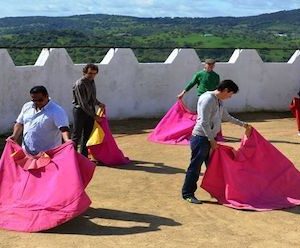 Clases de toreo de Salón