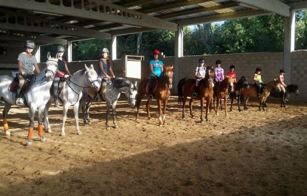 Cursos de equitación con el Club Hípico el Paraíso en Palencia