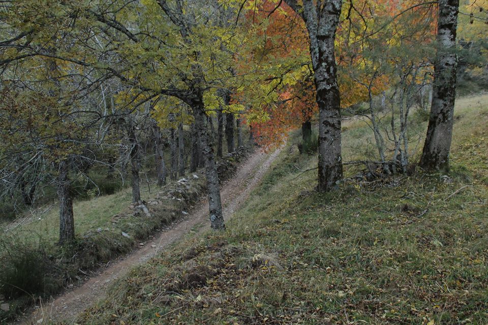 Alquiler de bicicletas con Fuente de Aventuras en la Montaña Palentina