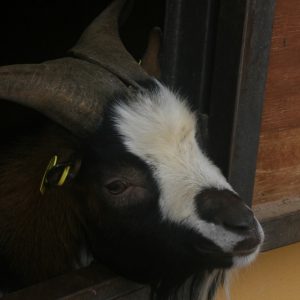 Visita  Cubillas de Santa Marta en Valladolid