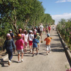 Talleres de abejas para niños