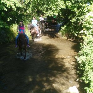 Rutas a caballo por la vega de Saldaña