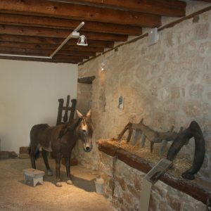 Visita museo Bustos en Torquemada