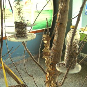 El Centro de Interpretación  de la Trucha en Velilla del Río Carrión