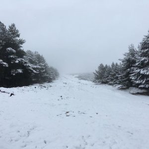 Rutas guiadas con raquetas en la montaña Palentina