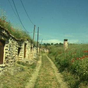Bodegas tradicionales en Torquemada