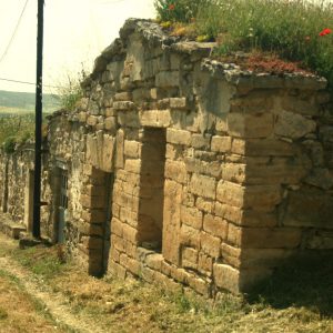 Bodegas tradicionales en Torquemada