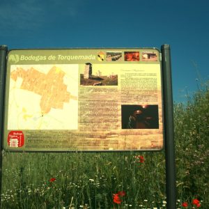 Bodegas tradicionales en Torquemada