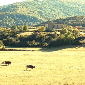 El Mirador de El Campo