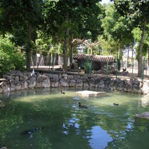 Visita el  Parque de las Aves en Herrera de Pisuerga