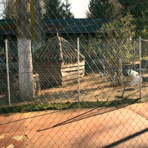 Visita el  Parque de las Aves en Herrera de Pisuerga