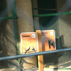 Visita el  Parque de las Aves en Herrera de Pisuerga