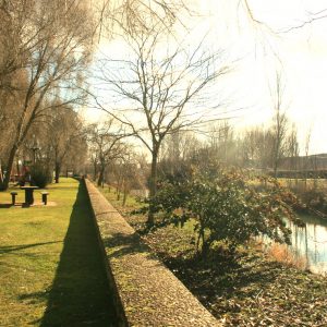 Visita el  Parque de las Aves en Herrera de Pisuerga