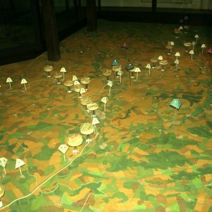 Visita el Museo del Canal de Villaumbrales