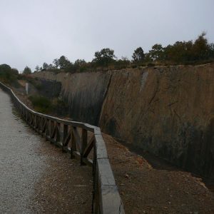 Árboles singulares en la Montaña Palentina