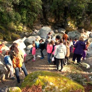 Visita Casa del Parque en la Sierra de Gredos