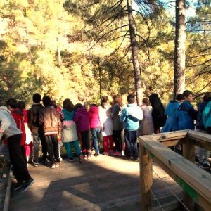 Visita Casa del Parque en la Sierra de Gredos