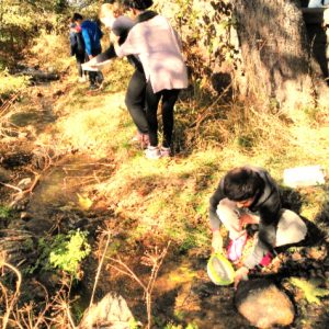 Visita  la Casa del Parque Regional de Gredos
