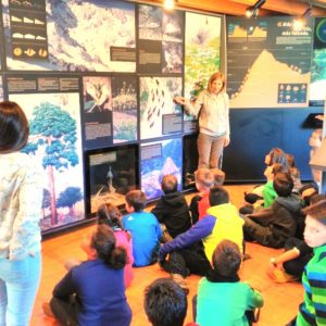 Visita  la Casa del Parque Regional de Gredos