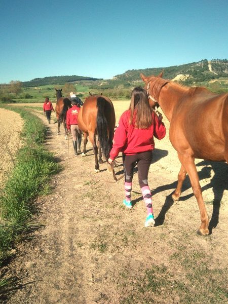 Grupo de personas haciendo excursiones a caballo con el Club Hípico el Paraíso en Palencia