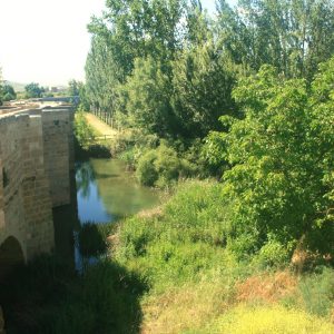 Puente de Torquemada de 25 ojos