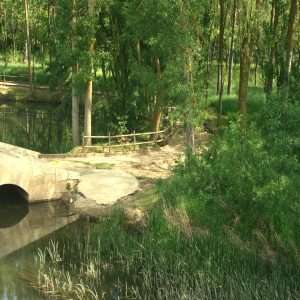Puente de Torquemada de 25 ojos