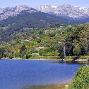 Pantano en Arenas de San  Pedro