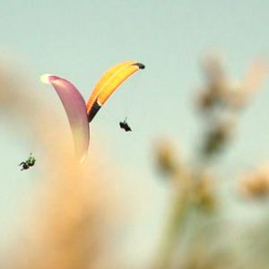 Vuelo en parapente biplaza en Bizkaia