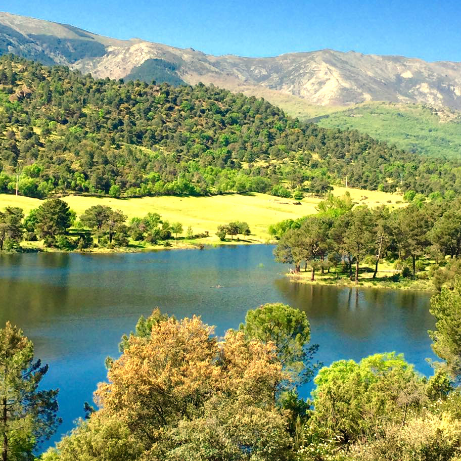 El Río Alberche a su paso por Navaluenga