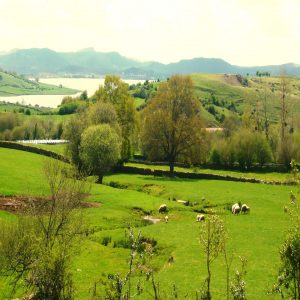 Ruta por el Embalse del Ebro