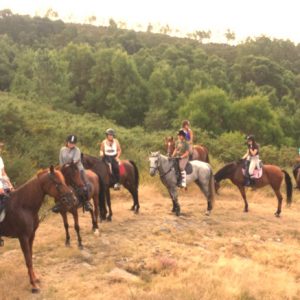 Paseo a caballo por la ruta do Formigueiro
