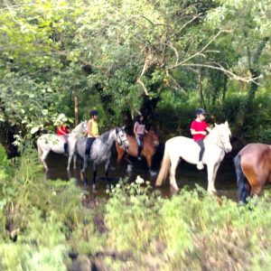 Paseo a caballo por la ruta do Formigueiro
