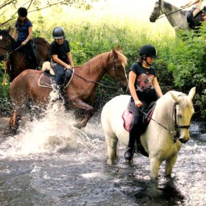Excursión a caballo a la Playa de Broña