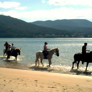 Excursión a caballo a la Playa de Broña