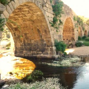Puente Mocho en Ledesma