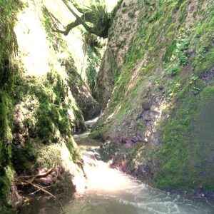 Barranquismo en el nacimiento del Río Pedroso