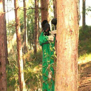 Paintball en el Pinar de Cepeda