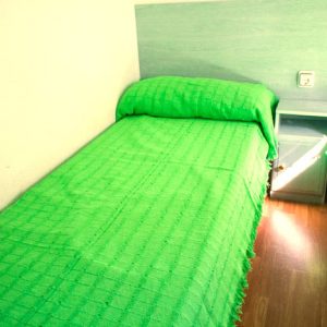 Camping la Ardilla Roja en San Martín de Valdeiglesias