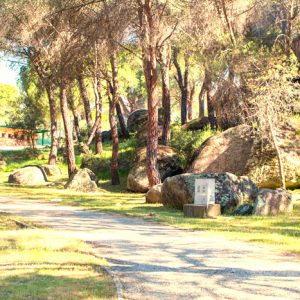 Camping la Ardilla Roja en San Martín de Valdeiglesias