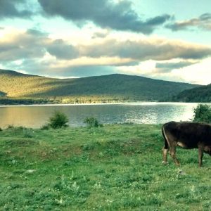 Embalse de la Cuerda del Pozo en Soria