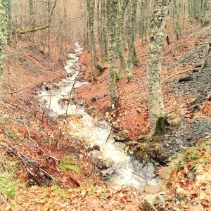 Rutas 4×4 en Burgos