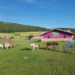 Granja Escuela Basabere  en Navarra