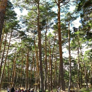 Parque de actividades en Soria
